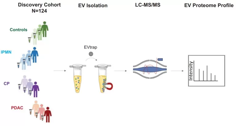 EVtrap isolation of extracellular vesicles
